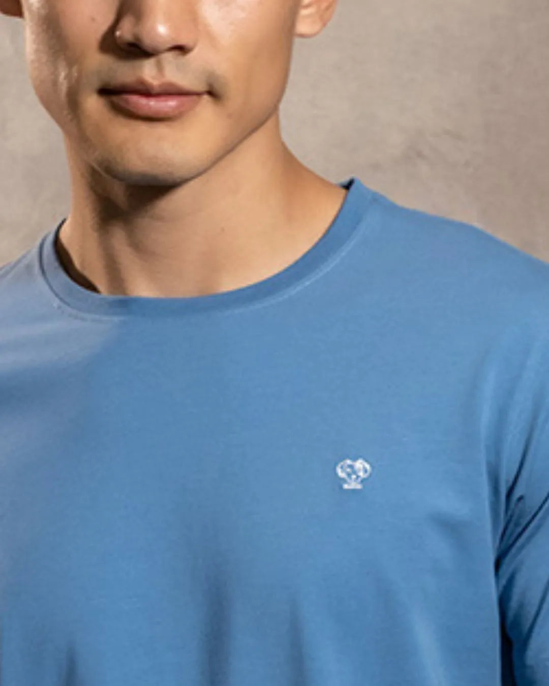 Camiseta antimanchas Azul Chino para hombre marca DANTE tallaje regular fit foto logo