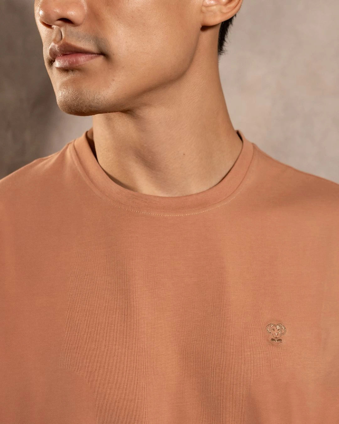 Camiseta antimanchas Mocca hombre marca DANTE tallaje regular fit foto logo