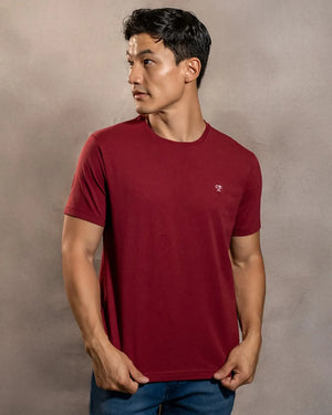 Camiseta antimanchas Vinotinto para hombre marca DANTE tallaje regular fit foto modelo2