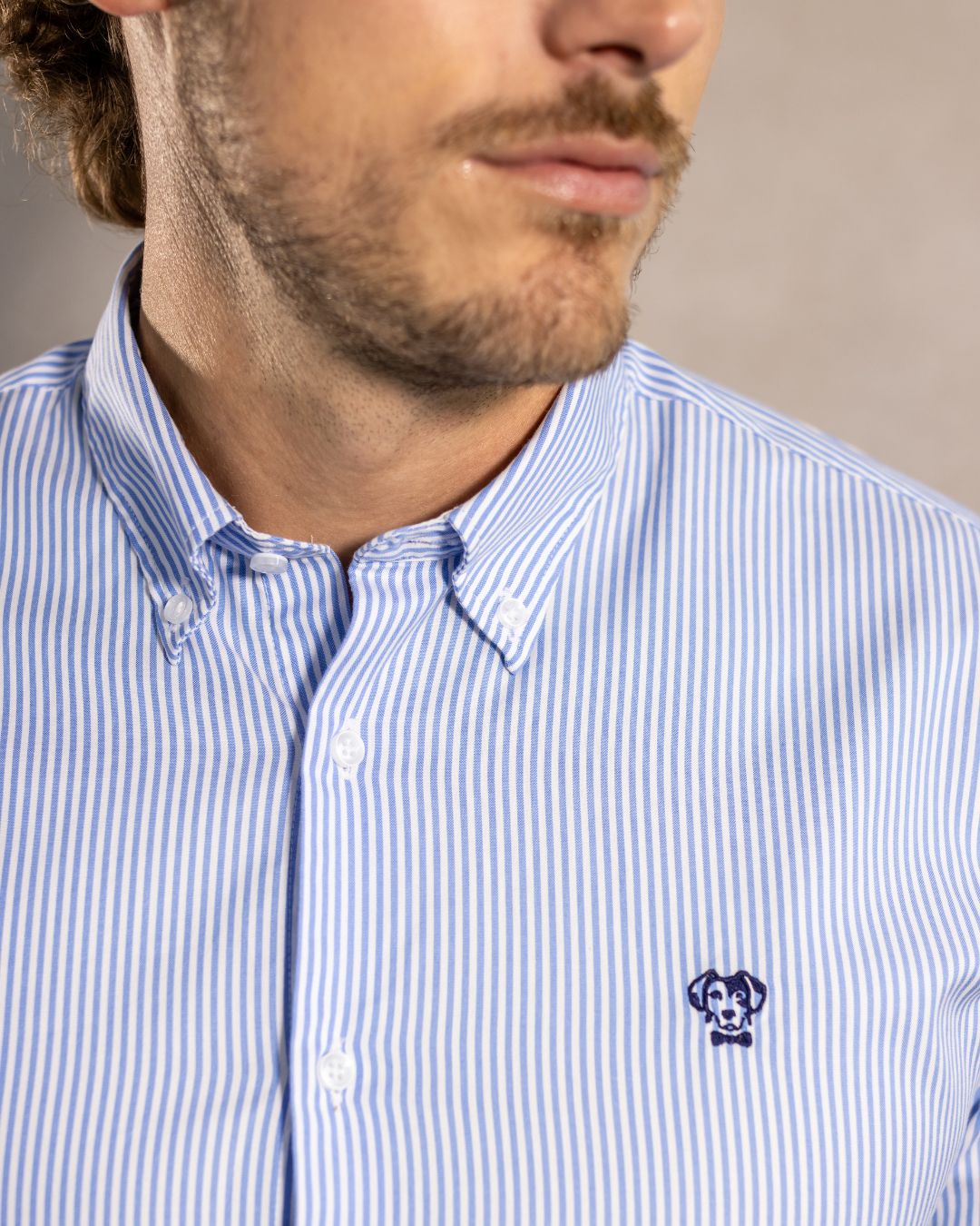 Camisa Antimanchas Oxford Rayas Azul Yale