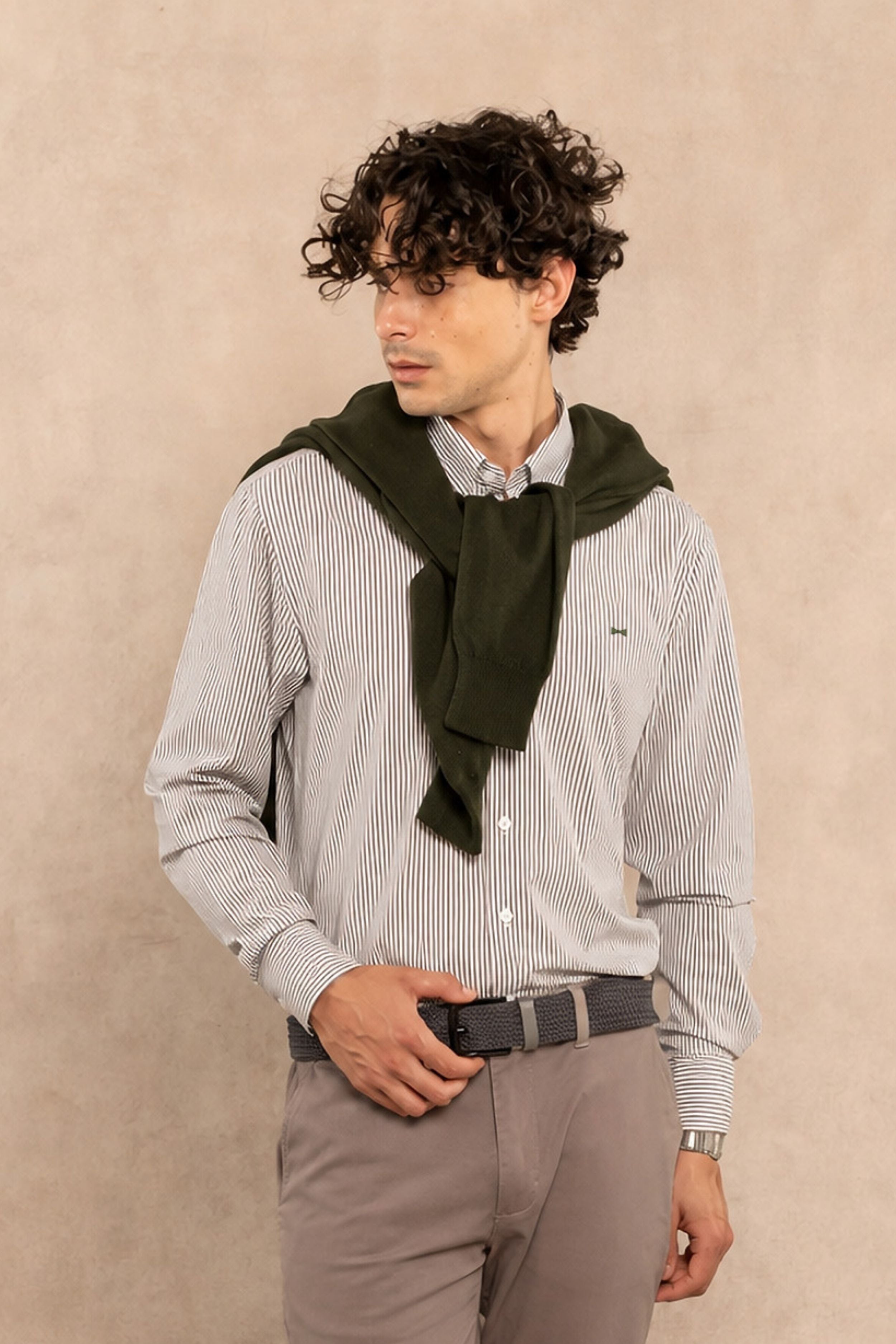 Camisa Performance Oxford Rayas Verde