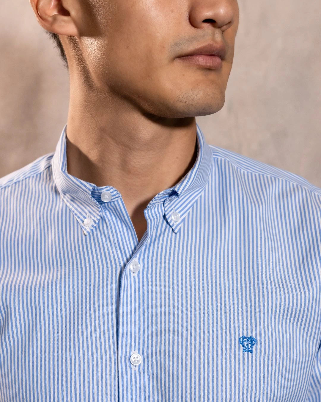 Camisa antimanchas Oxford Yale logo azul marca DANTE para hombre regular fit foto  logo