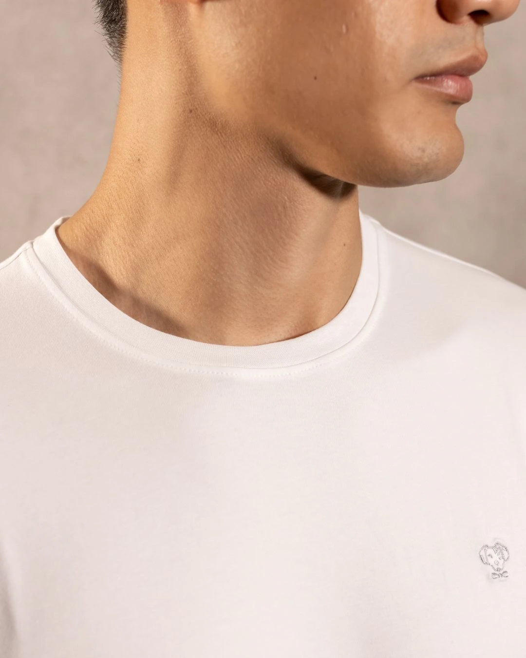 Camiseta antimanchas Blanco logo gris hombre marca DANTE tallaje regular fit foto logo