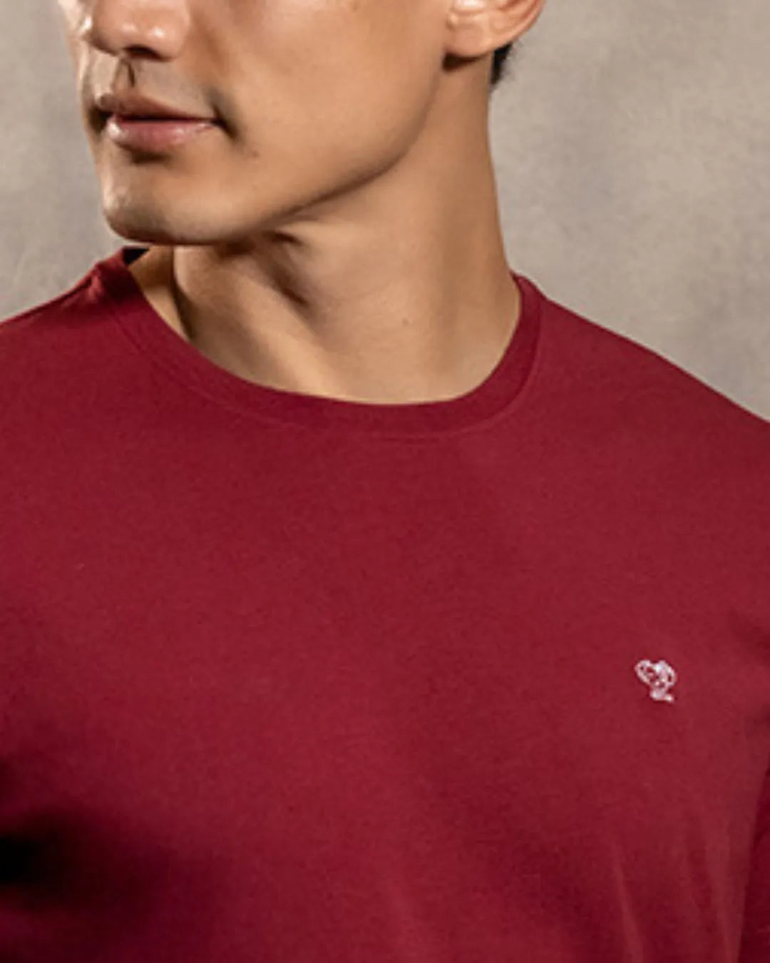 Camiseta antimanchas Vinotinto para hombre marca DANTE tallaje regular fit foto logo