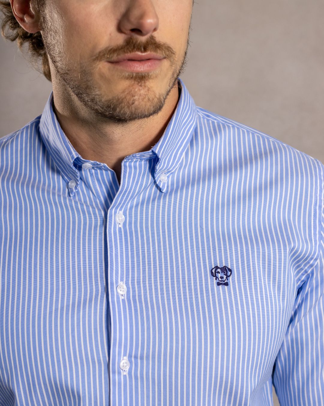 Camisa Antimanchas Oxford Rayas Azul Princeton