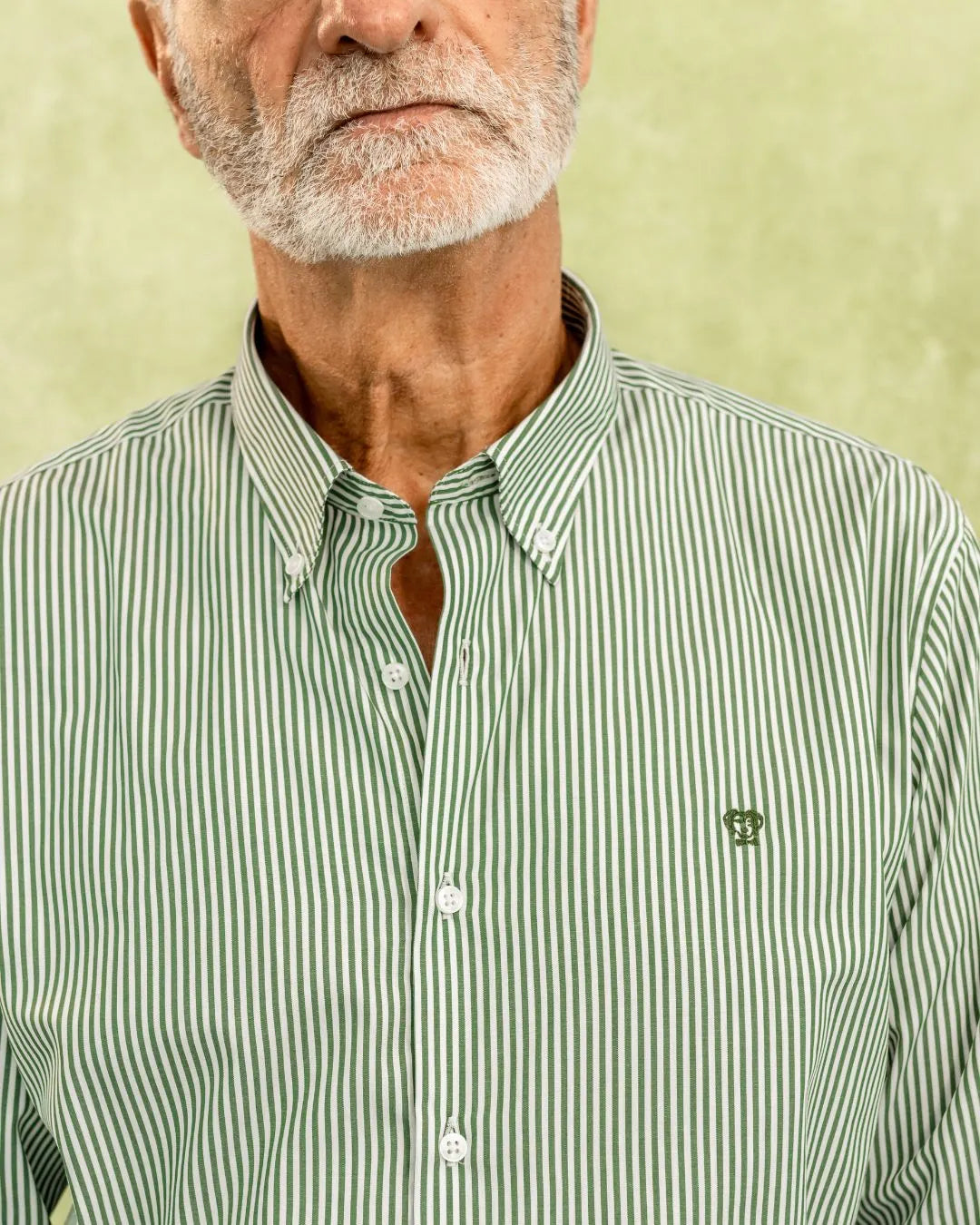 Camisa antimanchas Popelina Rayas Verde Oscuro para hombre marca DANTE tallaje regular fit foto logo